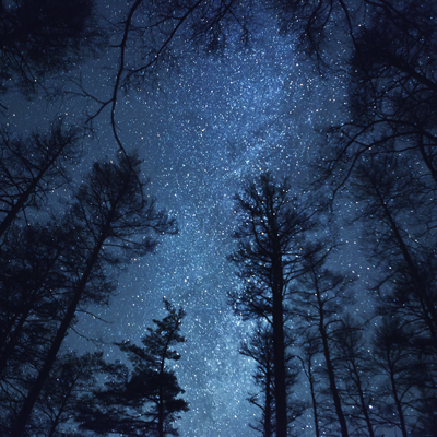 Rencontres entre l'humain et la nature à Espace pour la vie