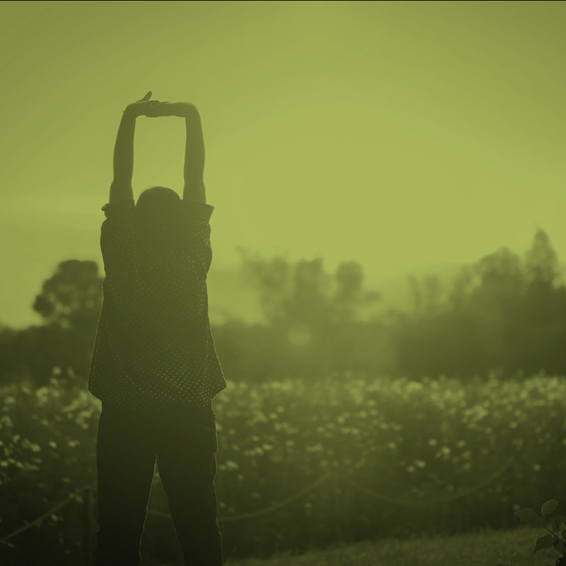 La Promenade à l'aube en photos